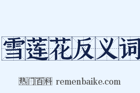 雪莲花反义词是什么意思的图片